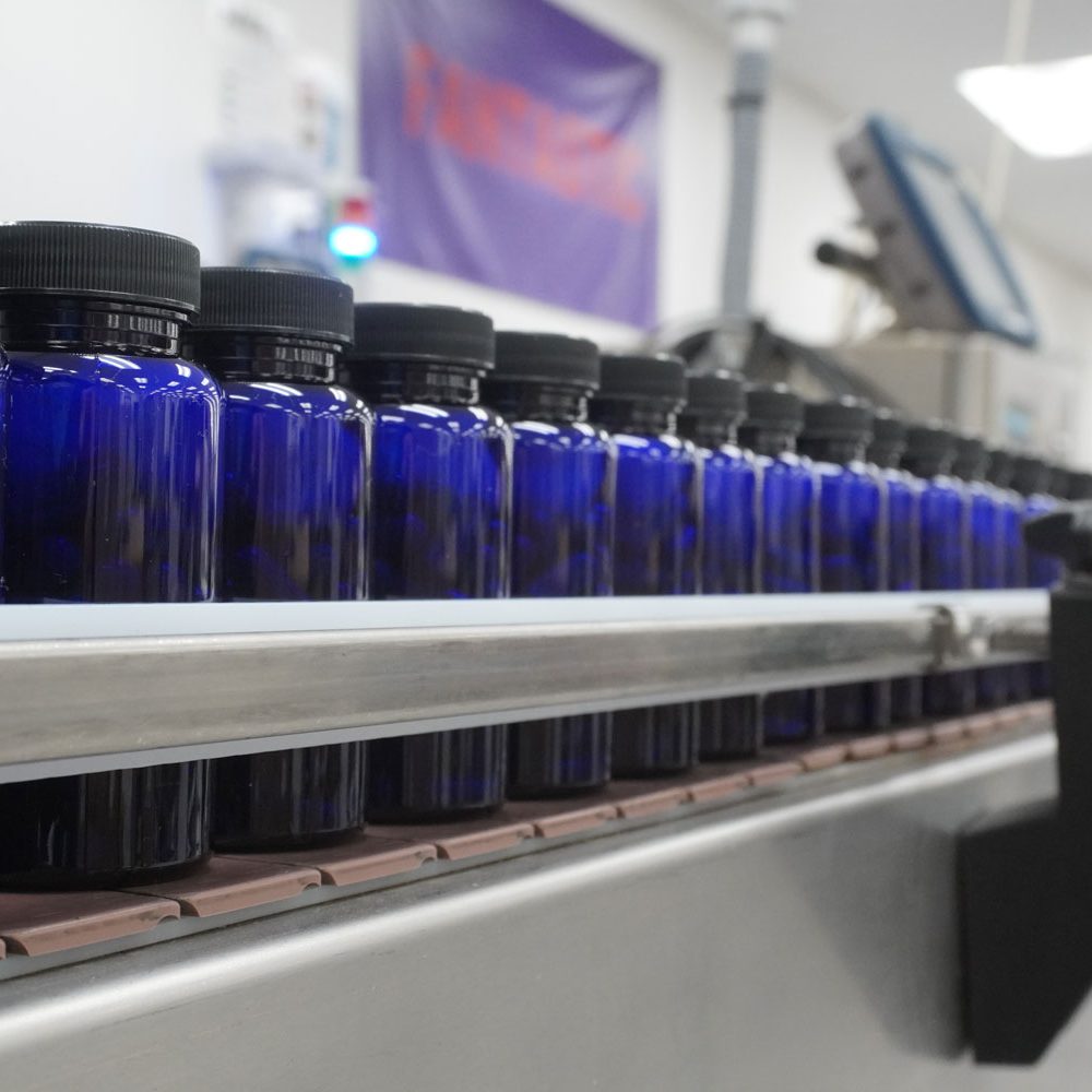 march-of-the-blue-bottles